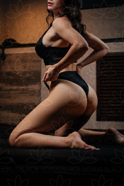   ,  Black Lotus