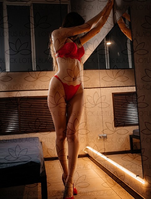 ������� ����������� ����, ����� �������